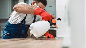 Best Commercial Pest Control  in Billington Heights, NY